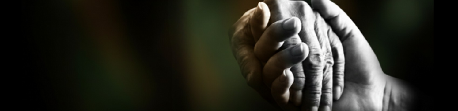 Blog Banner